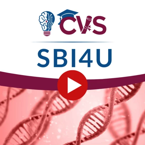 Canadian Virtual School - Ontario Online High School | OSSD Credits for Grades 9–12